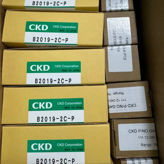 CKD Regulator Filter